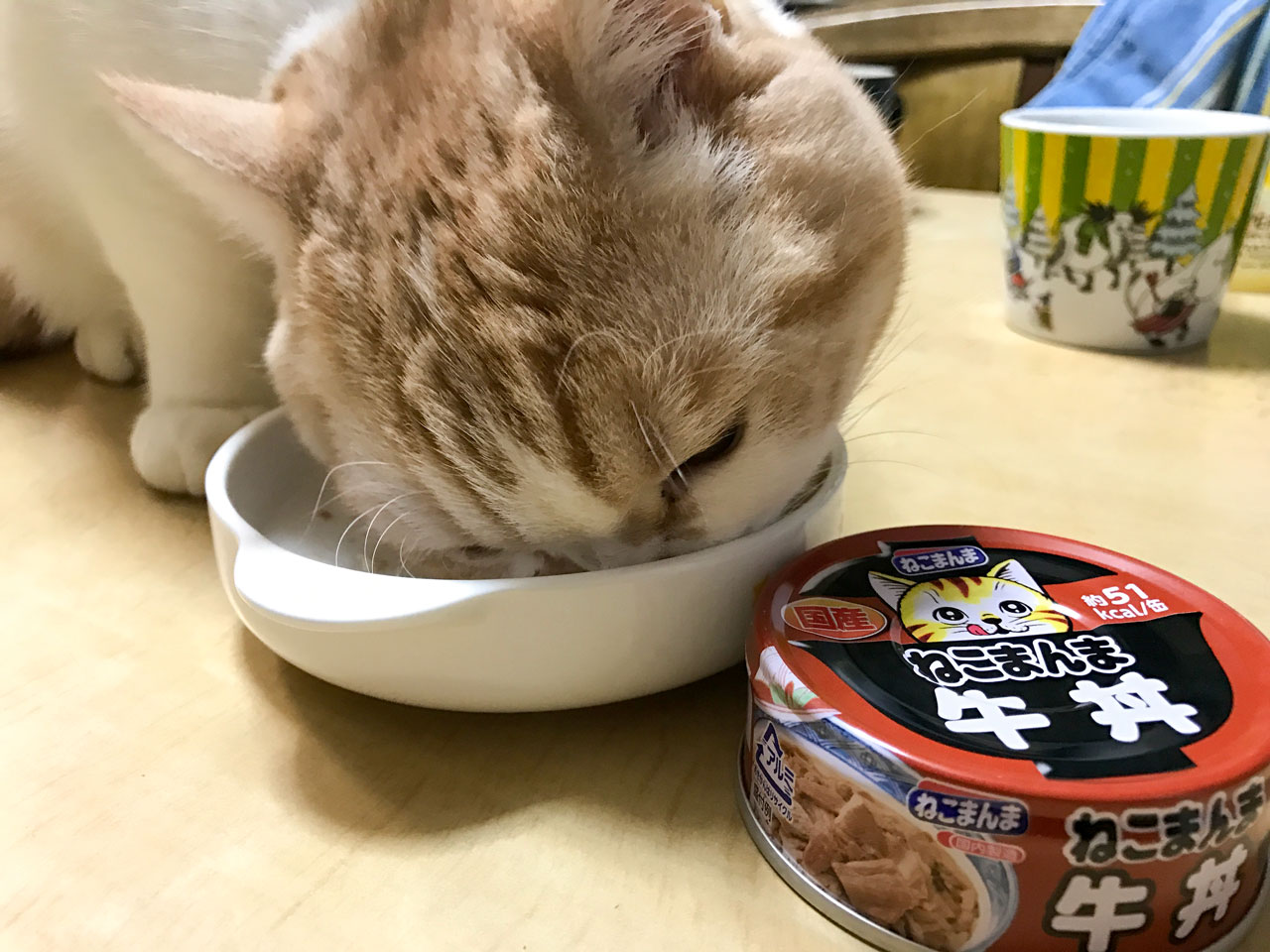 ねこまんま 牛丼 